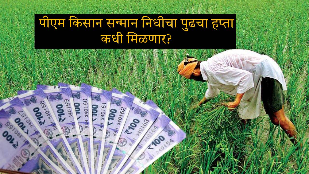 Read more about the article PM Kisan yojna Marathi : खात्यात पैसे जमा झाले का? असे तपासा