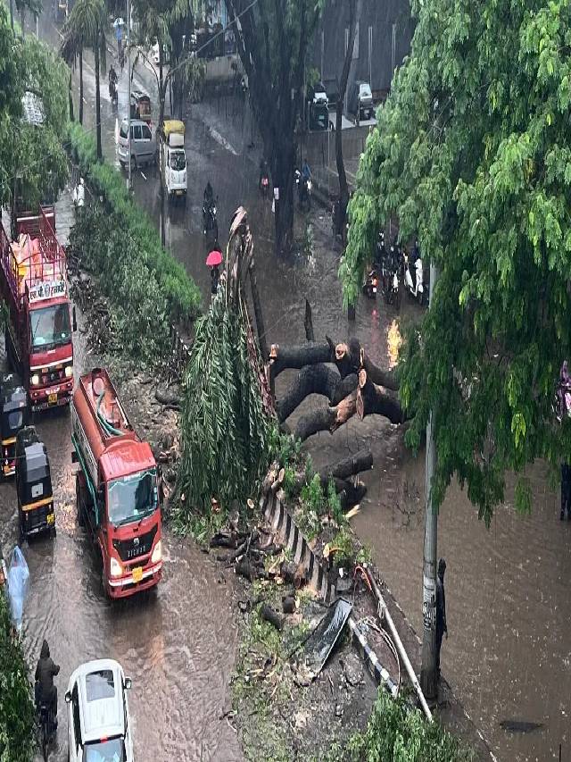 Read more about the article Pune Heavy Rain Update : पुण्यात पावसाचा हाहाकार.. शाळांना सुट्टी