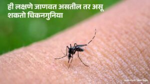 Read more about the article Chikungunya Symptoms Marathi : ही लक्षणे जाणवत असतील तर असू शकतो चिकनगुनिया