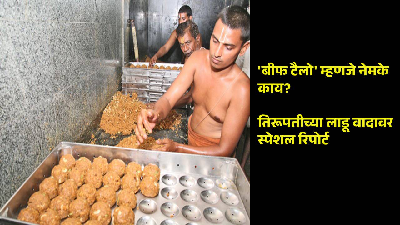 Read more about the article Tirupati Laddu Controversy : ‘बीफ टैलो’ म्हणजे नेमके काय? तिरूपतीच्या लाडूवर स्पेशल रिपोर्ट