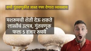 Read more about the article मशरूमची शेती देऊ शकते लाखोंचं उत्पन्न, गुंतवणूक फक्त 5 हजार रूपये : Mushroom farming Marathi