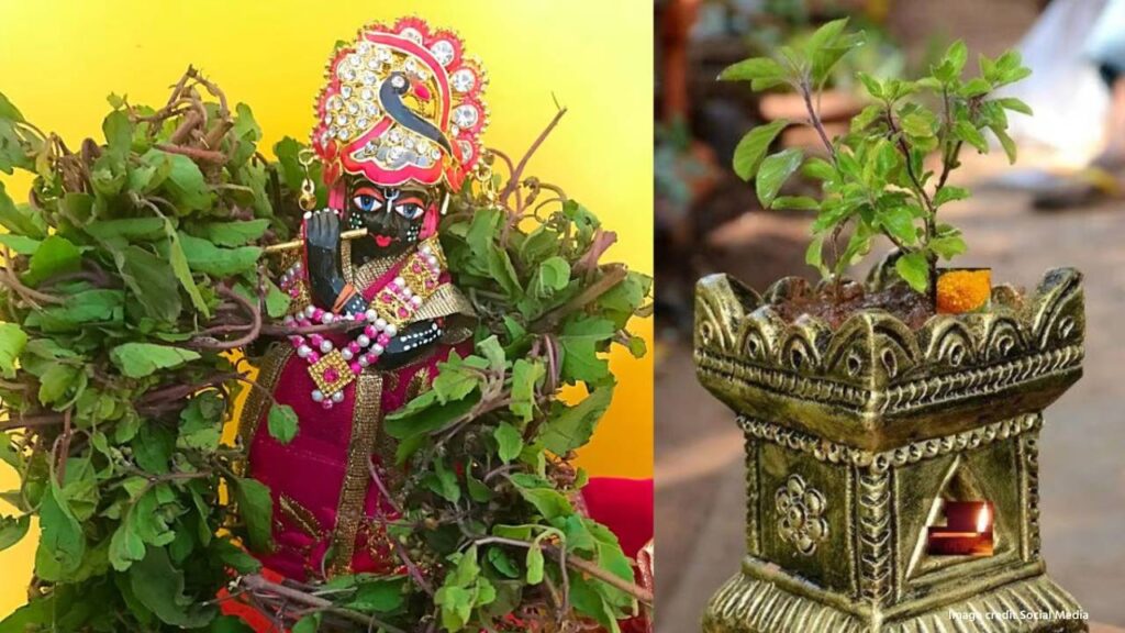 Tulsi vivah