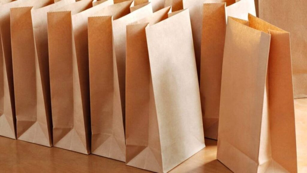 Paper Bag Business